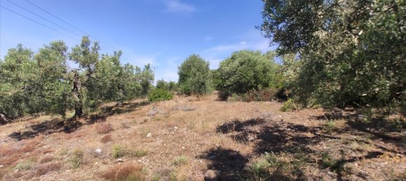 Hotel em Polygyros, Greece 13750 m² N.º 4179 6