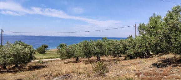 Hotel em Polygyros, Greece 13750 m² N.º 4179 8