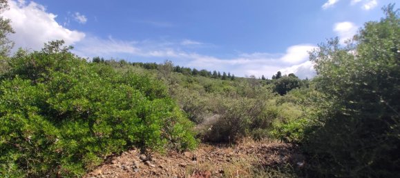 Hotel em Polygyros, Greece 13750 m² N.º 4179 5