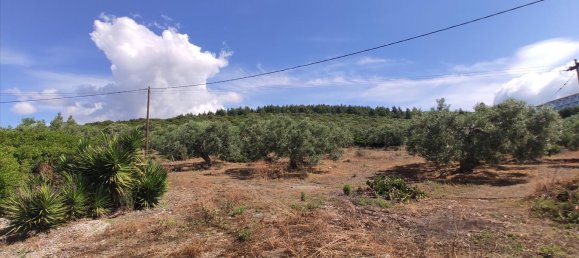 Hotel em Polygyros, Greece 13750 m² N.º 4179 12