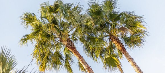 Вилла с 4 спальнями в Поршеш, Португалия № 78417 3