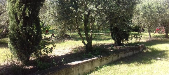 Terrain à Terre Roveresche, Italy No. 253907 3