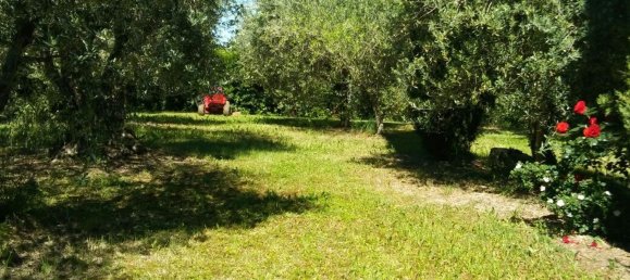 Terrain à Terre Roveresche, Italy No. 253907 7