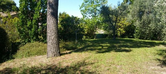 Terrain à Terre Roveresche, Italy No. 253907 8