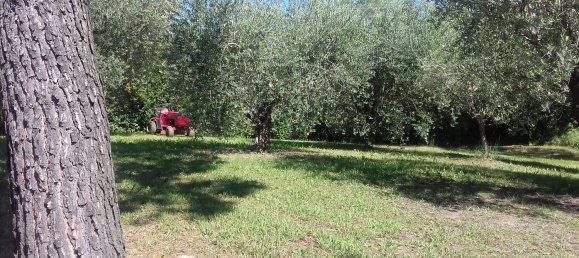 Terrain à Terre Roveresche, Italy No. 253907 11