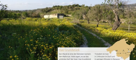 Grundstück in Manacor, Spain, Nr. 155633 5