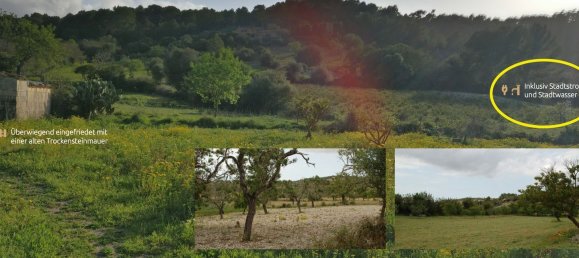 Grundstück in Manacor, Spain, Nr. 155633 2