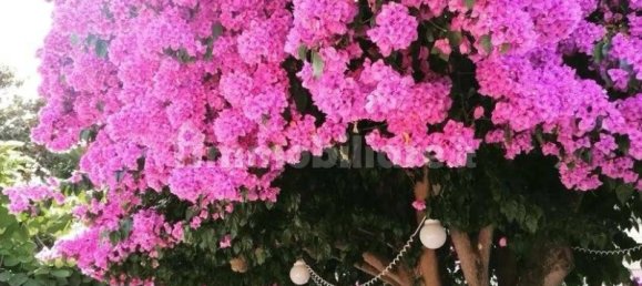 Propiedad comercial de 2 habitaciónes en Ladispoli, Italy No. 319222 2