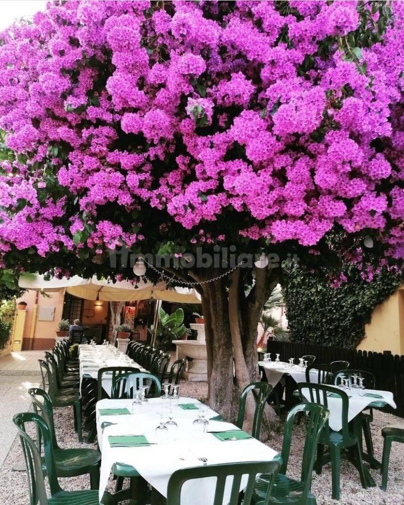 Propiedad comercial de 2 habitaciónes en Ladispoli, Italy No. 319222