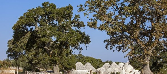 4 bedrooms House in Cisternino, Italy No. 64455 21