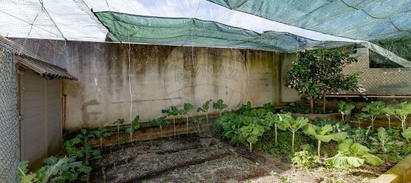 6 bedrooms House in Tavarede, Portugal No. 162418 46