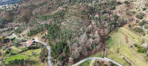 3 chambres Maison à Cabeceiras de Basto, Portugal No. 19062 4