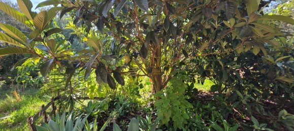  قطعة أرض في Lagos, Portugal 283متر مربع رقم 335341 22