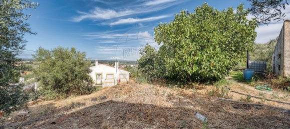 Lagerhaus in Abrantes, Portugal 113m², Nr. 70638 14