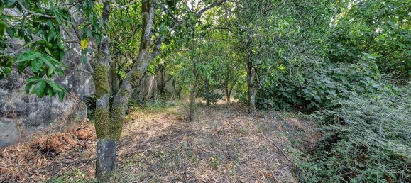 Lagerhaus in Abrantes, Portugal 113m², Nr. 70638 11