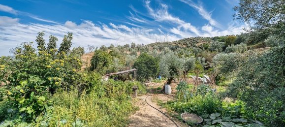 Lagerhaus in Abrantes, Portugal 113m², Nr. 70638 16