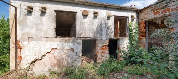 Lagerhaus in Abrantes, Portugal 113m², Nr. 70638 3