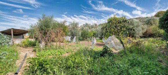 Lagerhaus in Abrantes, Portugal 113m², Nr. 70638 19