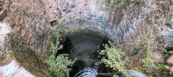 Lagerhaus in Abrantes, Portugal 113m², Nr. 70638 18