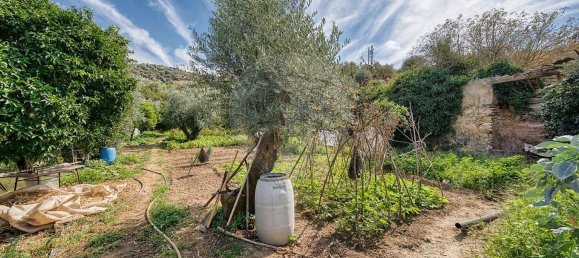 Lagerhaus in Abrantes, Portugal 113m², Nr. 70638 17