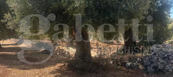 Terrain à Ostuni, Italy 6500m² No. 344767 5