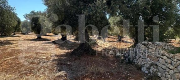 Terrain à Ostuni, Italy 6500m² No. 344767 10