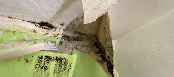 2 غرف نوم منزل في Nordsachsen, Germany رقم 136403 21