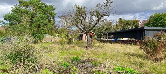 2 غرف نوم منزل في Nordsachsen, Germany رقم 136403 37