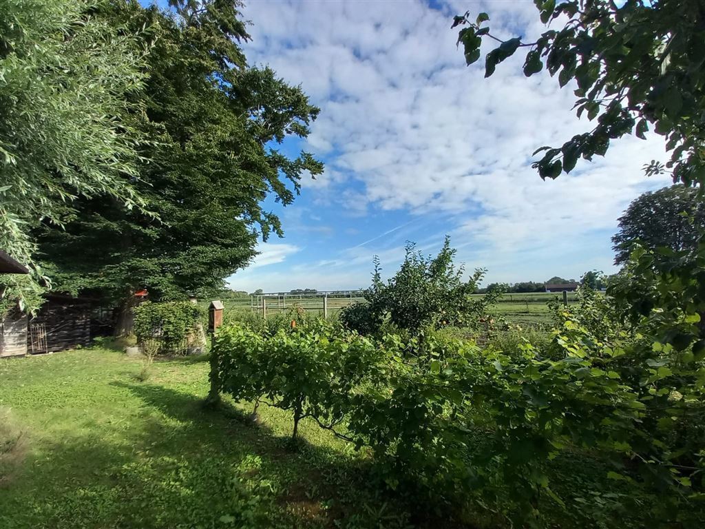 Terrain à Munich, Germany No. 229866