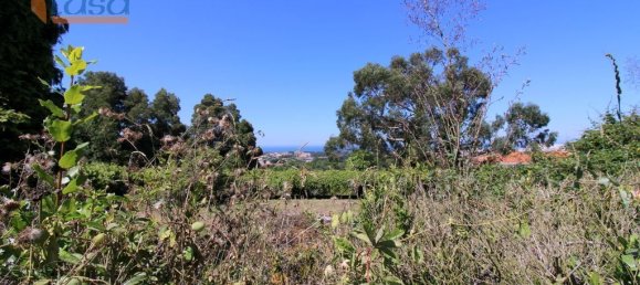 5029m² Land in Vila Nova de Gaia, Portugal No. 187089 8