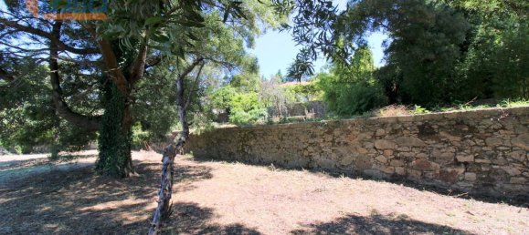 5029m² Land in Vila Nova de Gaia, Portugal No. 187089 15