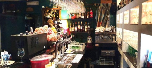 245m² Commercial property in Villach, Austria No. 233786 5