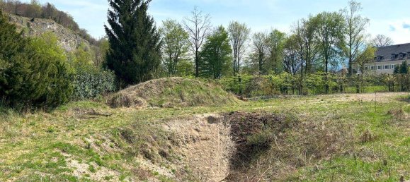 1415m² Land in Anif, Austria No. 144601 5
