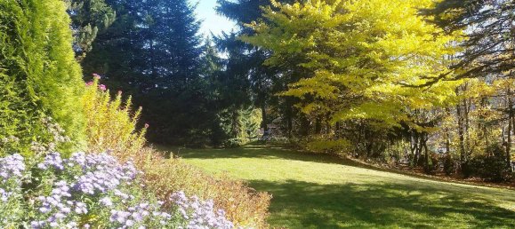 3 rooms Apartment in Regen, Germany No. 281752 14