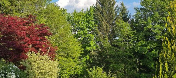 3 rooms Apartment in Regen, Germany No. 281752 9