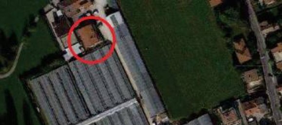 1-Zimmer Gewerbliche Immobilie in Mussolente, Italy, Nr. 326164 4