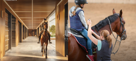 1347.1m² Land in Al Ain, UAE No. 52778 5