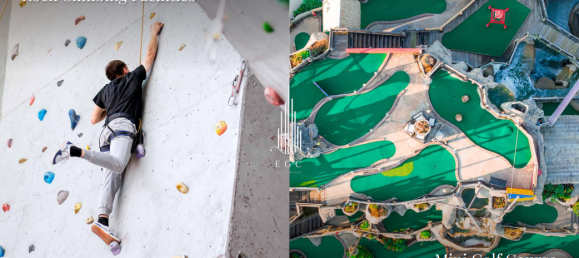 1347.1m² Land in Al Ain, UAE No. 52778 10