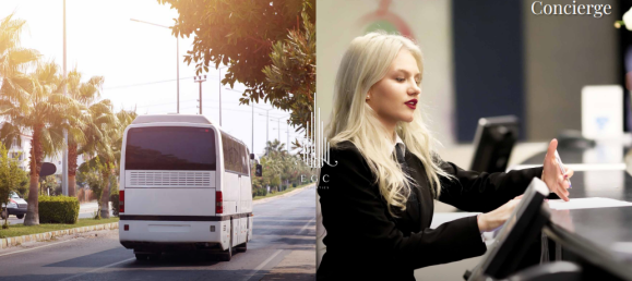 1347.1m² Land in Al Ain, UAE No. 52778 13