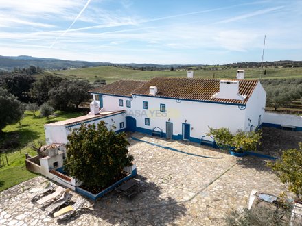 Дом с 6 спальнями в Борба, Португалия № 95476