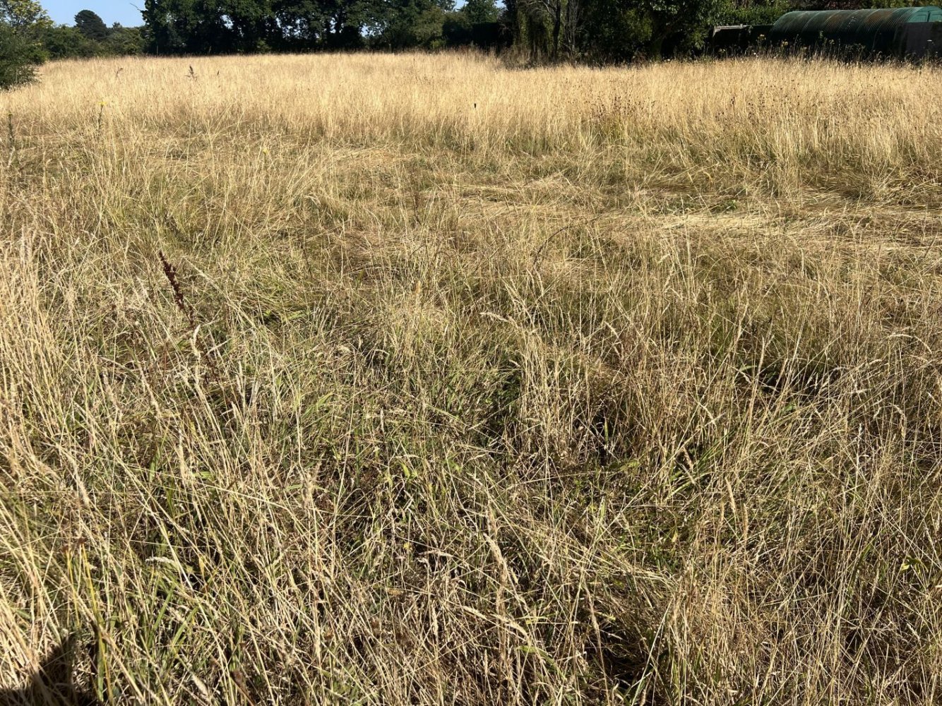 1-salle Terrain à Aigrefeuille-sur-Maine, France No. 350899