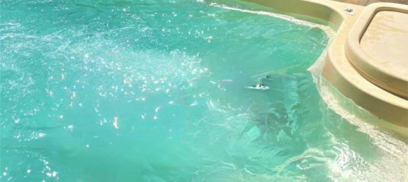 8-Zimmer Stadthaus in Wiener Neustadt, Austria, Nr. 165413 19