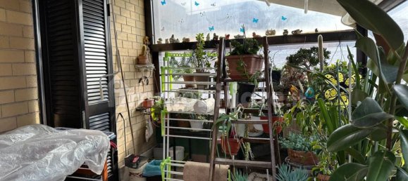 2 bedrooms Apartment in Monterotondo, Italy No. 8730 24