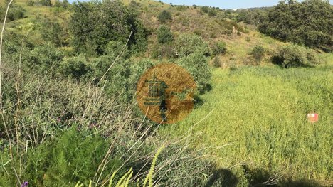 Terrain à Azinhal, Portugal 3676m² No. 65759