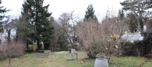  Land in Fischamend, Austria No. 153808 2