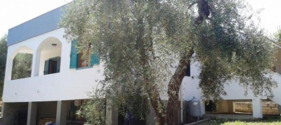 3 chambres Villa à Vieste, Italy No. 252681 6