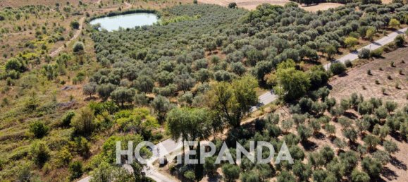 3 bedrooms House in Scansano, Italy No. 301075 4