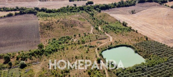 3 bedrooms House in Scansano, Italy No. 301075 5