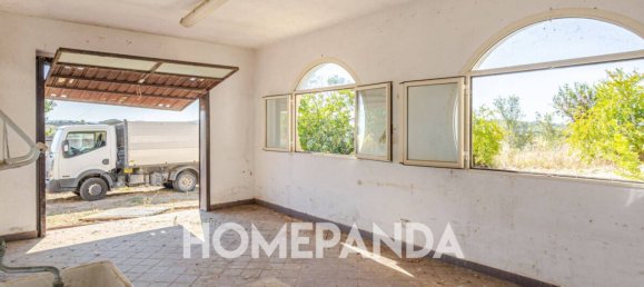 3 bedrooms House in Scansano, Italy No. 301075 33