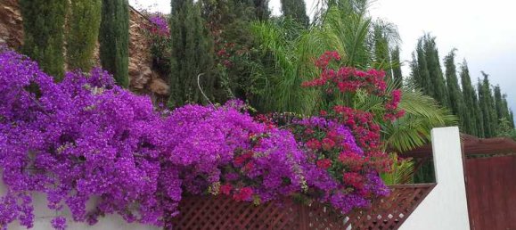 Villa de 7 dormitorios en Pegeia, Cyprus No. 134558 4